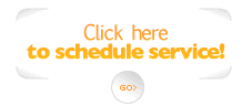 swimming pool services